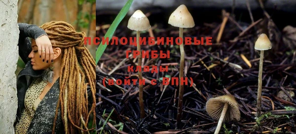 круглые Дмитриев