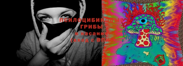 PSILOCYBIN Дмитровск