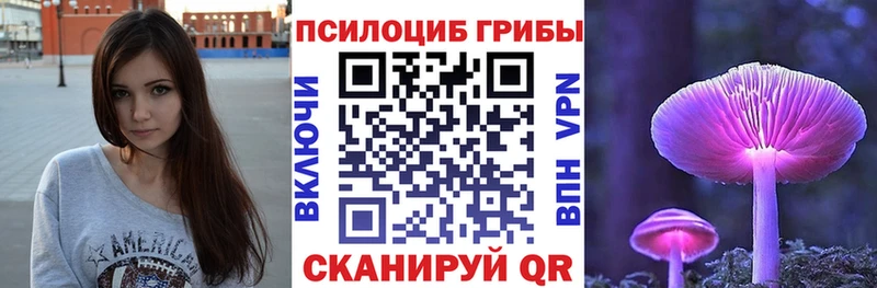 Купить закладки  Раменское  Галлюциногенные грибы GOLDEN TEACHER 